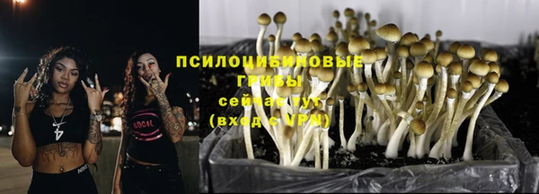 jwh Алзамай