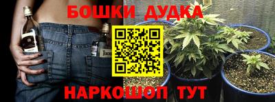 спайс Кингисепп