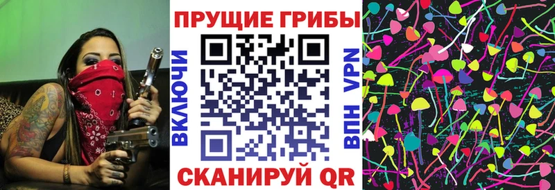 Галлюциногенные грибы Psilocybine cubensis  где купить   Кемерово 