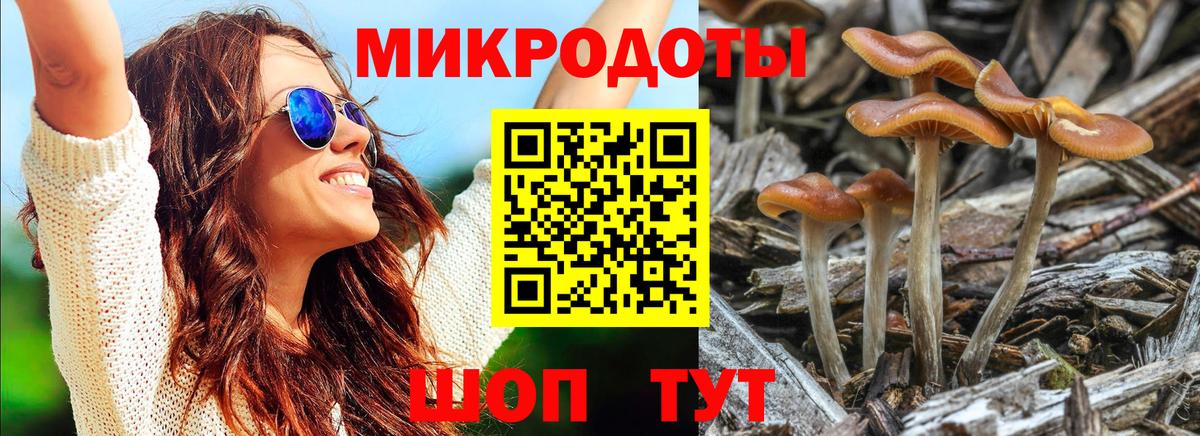 Галлюциногенные грибы Psilocybine cubensis Кемерово